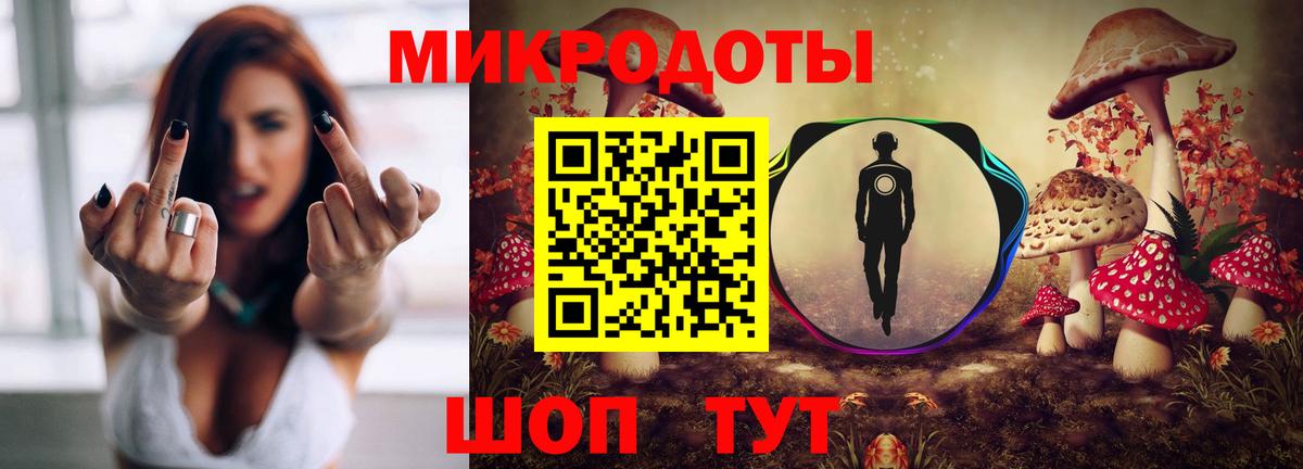 Псилоцибиновые грибы прущие грибы Георгиевск